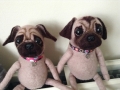 Toy Style Pugs